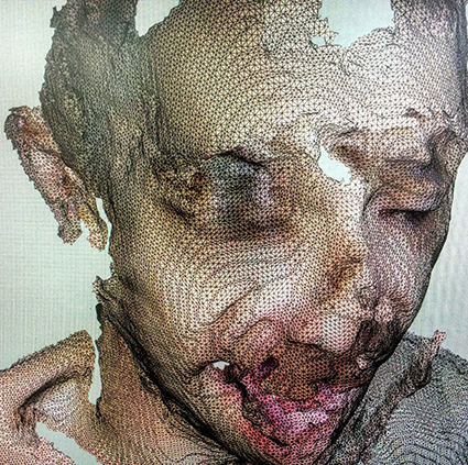 Interrupted 3D scan by artist Paul Coombs